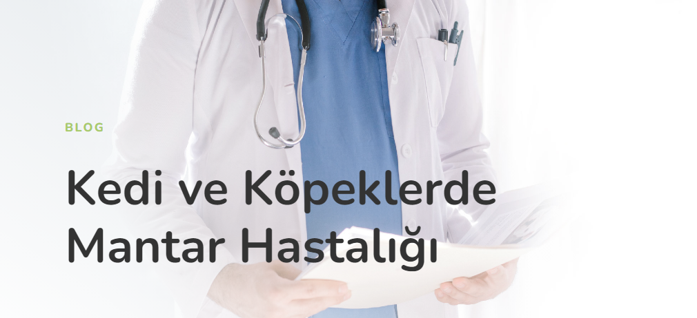 Kedi ve Köpeklerde Mantar Hastalığı