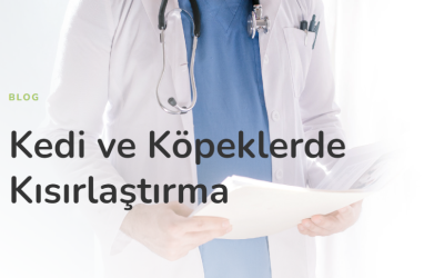 Kedi ve Köpeklerde Kısırlaştırma