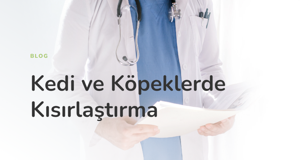 Kedi ve Köpeklerde Kısırlaştırma