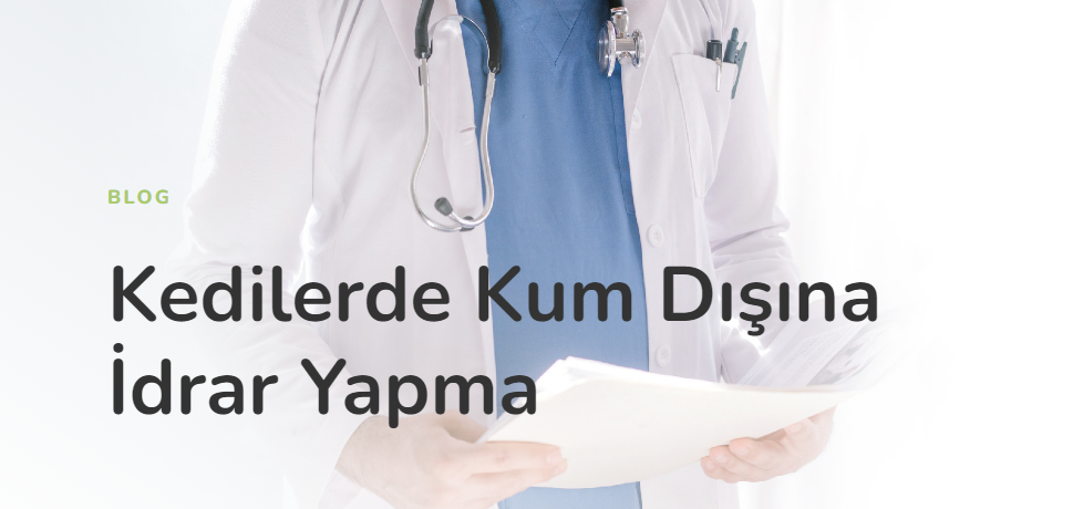 Kedilerde Kum Dışına İdrar Yapma